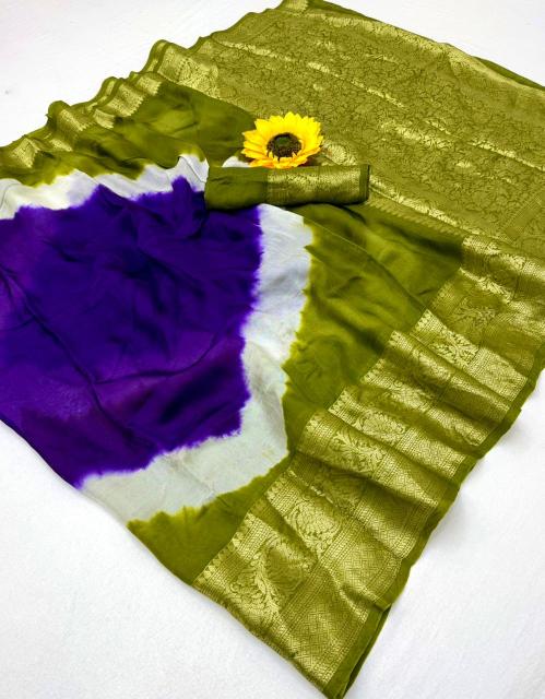 Vastrangan cotton silk near saree market